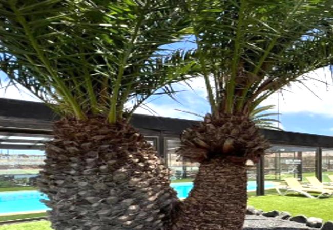Alquiler por habitaciones en Villaverde - Encantador alojamiento con Gran Piscina WIFI Alquiler por habitaciones en Villaverde - Encantador alojamiento con Gran Piscina WIFI