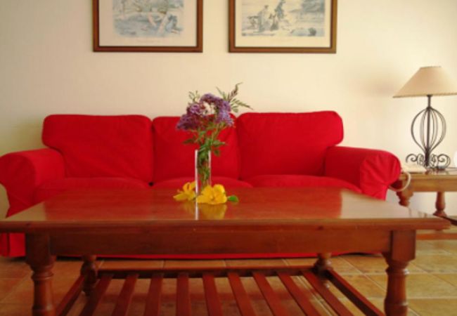 Apartahotel en Los Realejos - Increible apartamento estandar con hermosas vistas y Piscina Apartahotel en Los Realejos - Increible apartamento estandar con hermosas vistas y Piscina