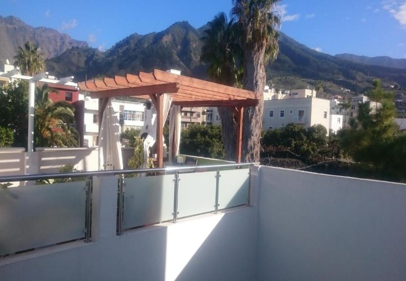 Apartamento en Los Llanos de Aridane - Estudio centrico con terraza y piscina