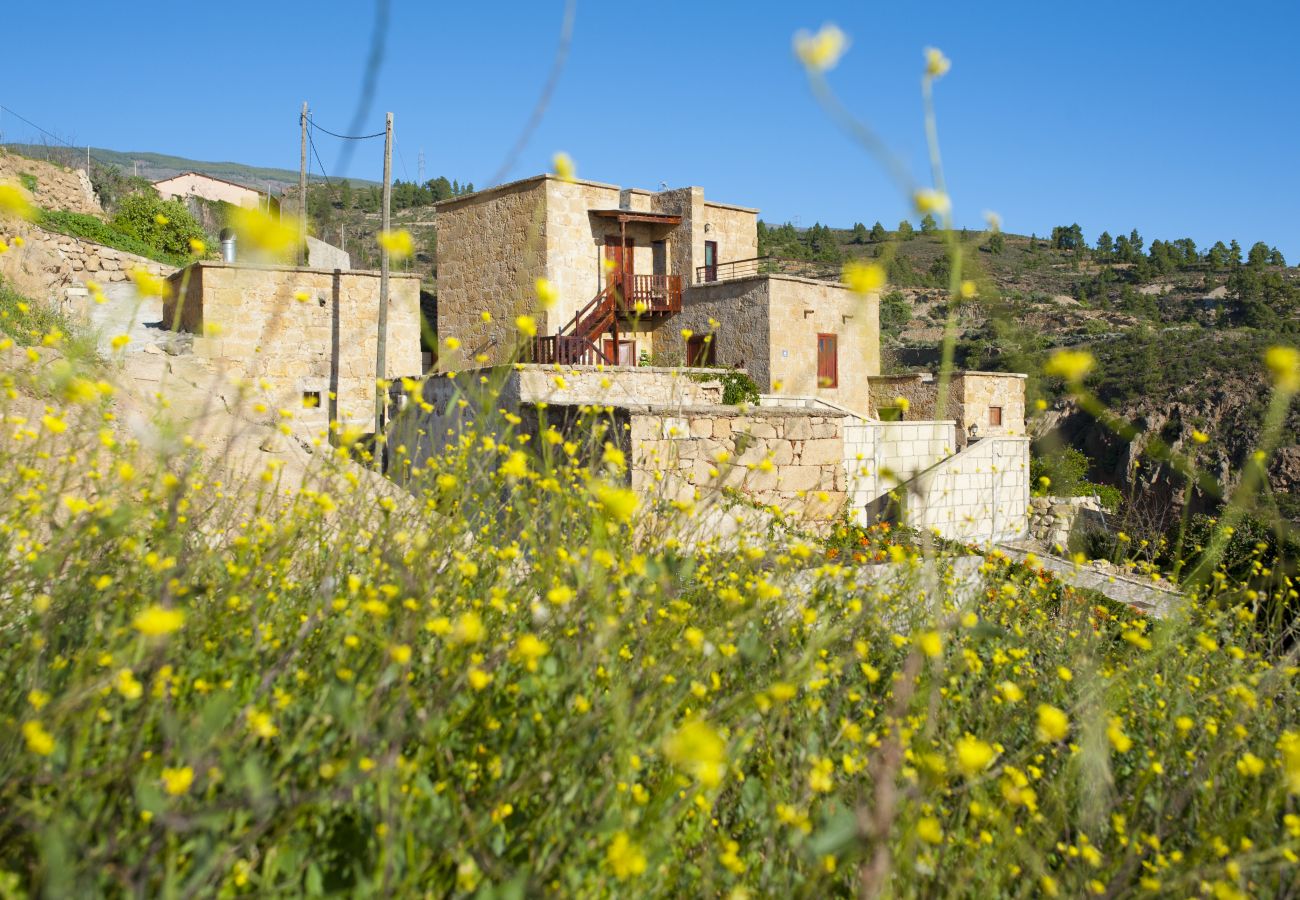 Casa rural en Arico - Paz inigualable en Casa Rural  con fantasticas vistas WIFi, BBQ