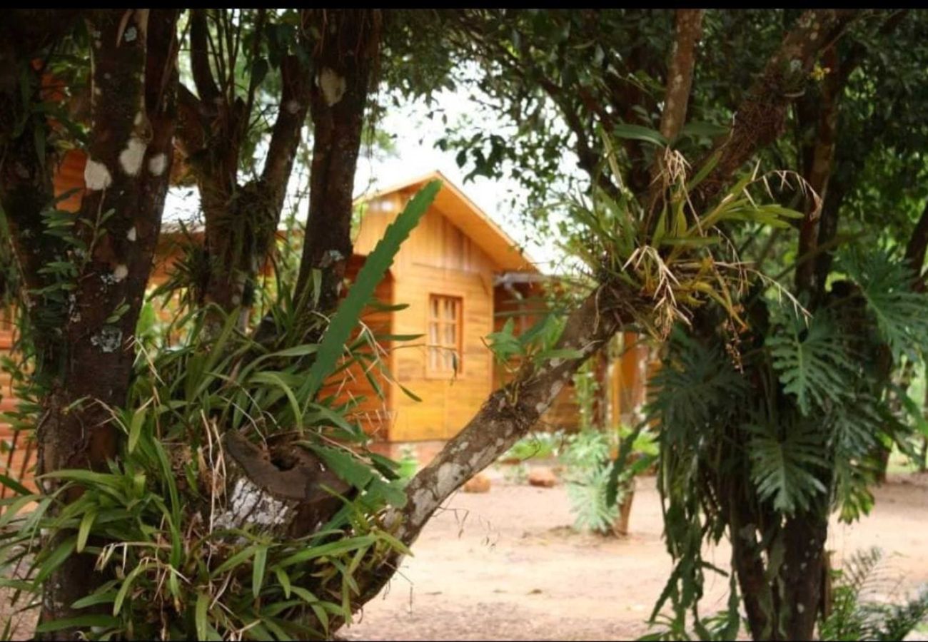 Cabaña en Puerto Iguazú - Hermosas Cabañas en Iguazu con piscina WIFI