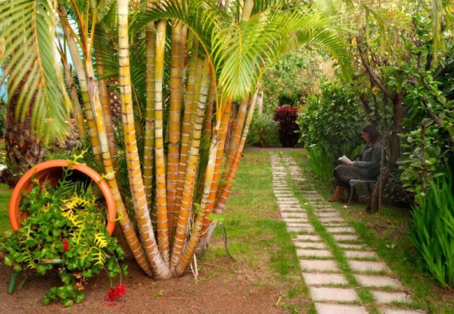 Apartahotel en Los Llanos de Aridane - Elegante Apartamento con Piscina y Jardín Ideal para 2 Apartahotel en Los Llanos de Aridane - Elegante Apartamento con Piscina y Jardín Ideal para 2