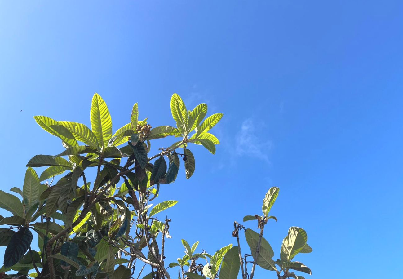 Casa en Garachico - Precioso y moderno apartamento en Genoves