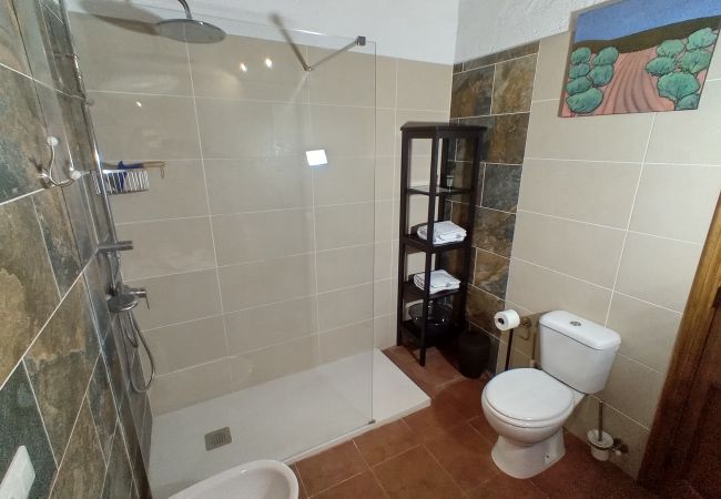 Alquiler por habitaciones en Garachico - Amplio Alojamiento para 2 personas en Garachico con Piscina Alquiler por habitaciones en Garachico - Amplio Alojamiento para 2 personas en Garachico con Piscina