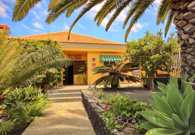 Apartamento en Los Llanos de Aridane - Acogedor apto single con Vistas a los Frutales: Tranquilidad y comodidad Apartamento en Los Llanos de Aridane - Acogedor apto single con Vistas a los Frutales: Tranquilidad y comodidad