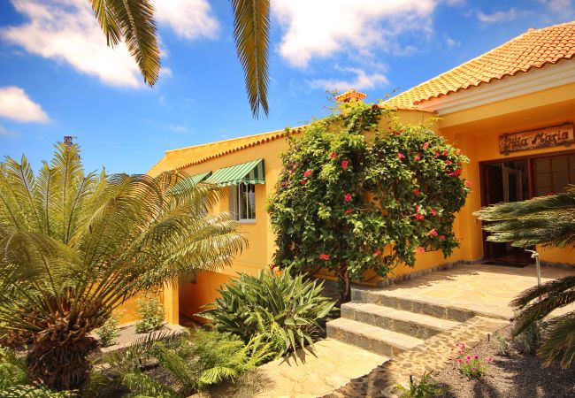Apartamento en Los Llanos de Aridane - Acogedor apto single con Vistas a los Frutales: Tranquilidad y comodidad Apartamento en Los Llanos de Aridane - Acogedor apto single con Vistas a los Frutales: Tranquilidad y comodidad