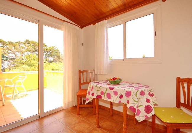 Apartamento en Los Llanos de Aridane - Acogedor apto single con Vistas a los Frutales: Tranquilidad y comodidad Apartamento en Los Llanos de Aridane - Acogedor apto single con Vistas a los Frutales: Tranquilidad y comodidad