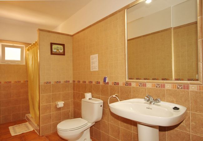 Apartamento en Los Llanos de Aridane - Acogedor apto single con Vistas a los Frutales: Tranquilidad y comodidad Apartamento en Los Llanos de Aridane - Acogedor apto single con Vistas a los Frutales: Tranquilidad y comodidad