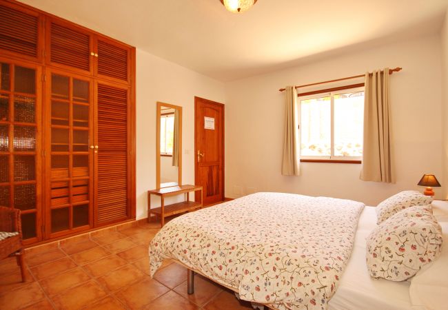 Apartamento en Los Llanos de Aridane - Acogedor apto single con Vistas a los Frutales: Tranquilidad y comodidad Apartamento en Los Llanos de Aridane - Acogedor apto single con Vistas a los Frutales: Tranquilidad y comodidad