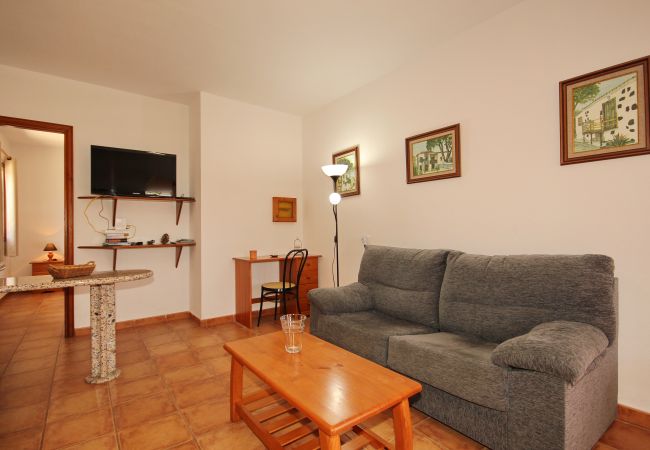 Apartamento en Los Llanos de Aridane - Acogedor apto single con Vistas a los Frutales: Tranquilidad y comodidad Apartamento en Los Llanos de Aridane - Acogedor apto single con Vistas a los Frutales: Tranquilidad y comodidad