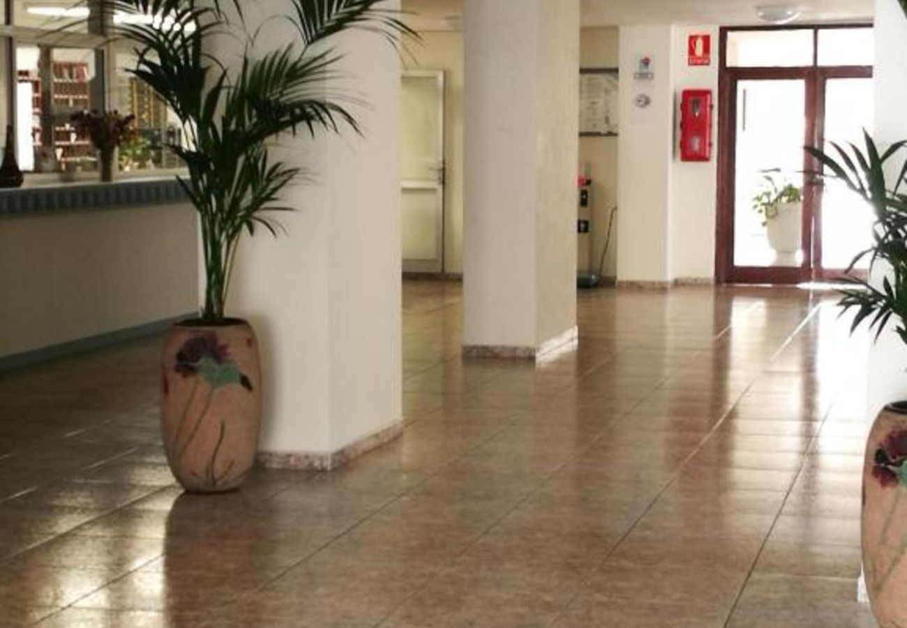 Estudio en Los Cristianos - Loft – Frente al Mar con Piscina y Terraza en Los Cristianos