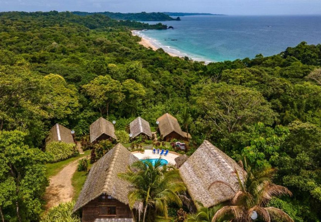 Apartahotel en Bocas del Toro - Bungalow Balinés de 1 Dormitorio con Vistas al Mar y Piscina Compartida en la Selva de Bocas del Toro