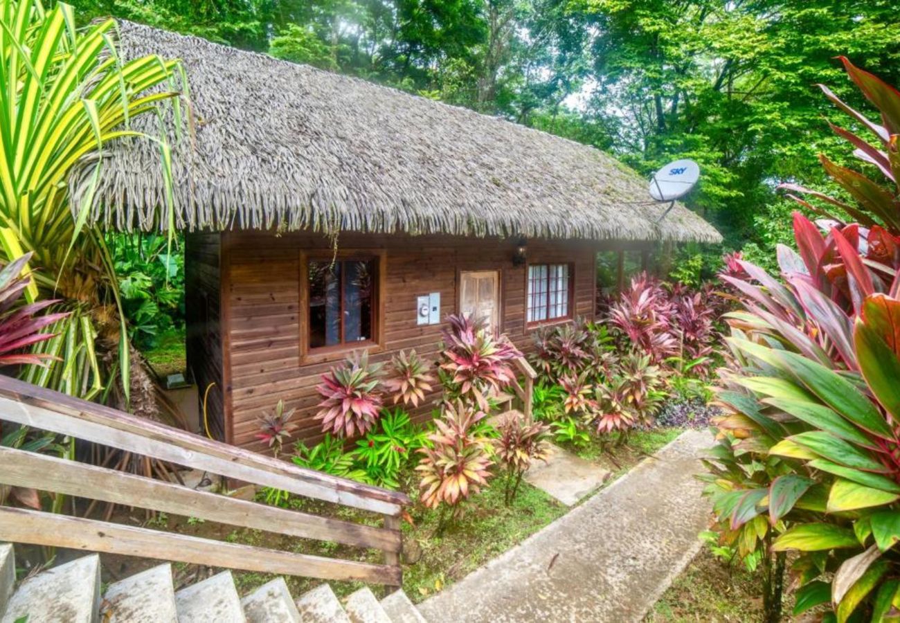 Apartahotel en Bocas del Toro - Bungalow Balinés de 1 Dormitorio con Vistas al Mar y Piscina Compartida en la Selva de Bocas del Toro