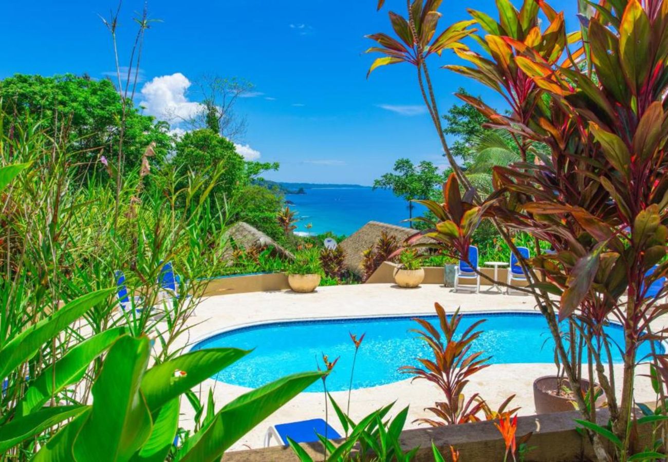 Apartahotel en Bocas del Toro - Bungalow Balinés de 1 Dormitorio con Vistas al Mar y Piscina Compartida en la Selva de Bocas del Toro