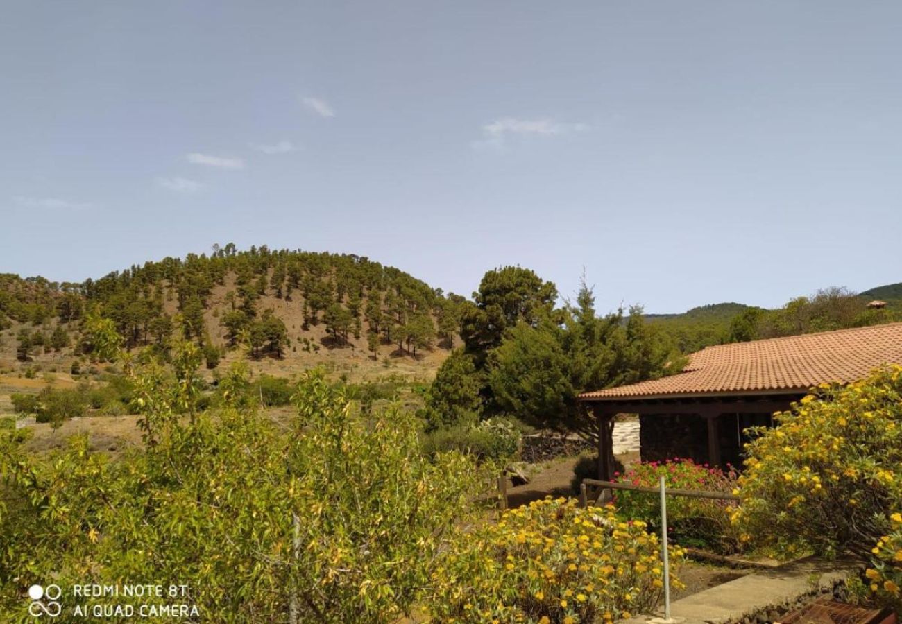 Cottage in Taibique -  Spectacular Rural House in El Hierro