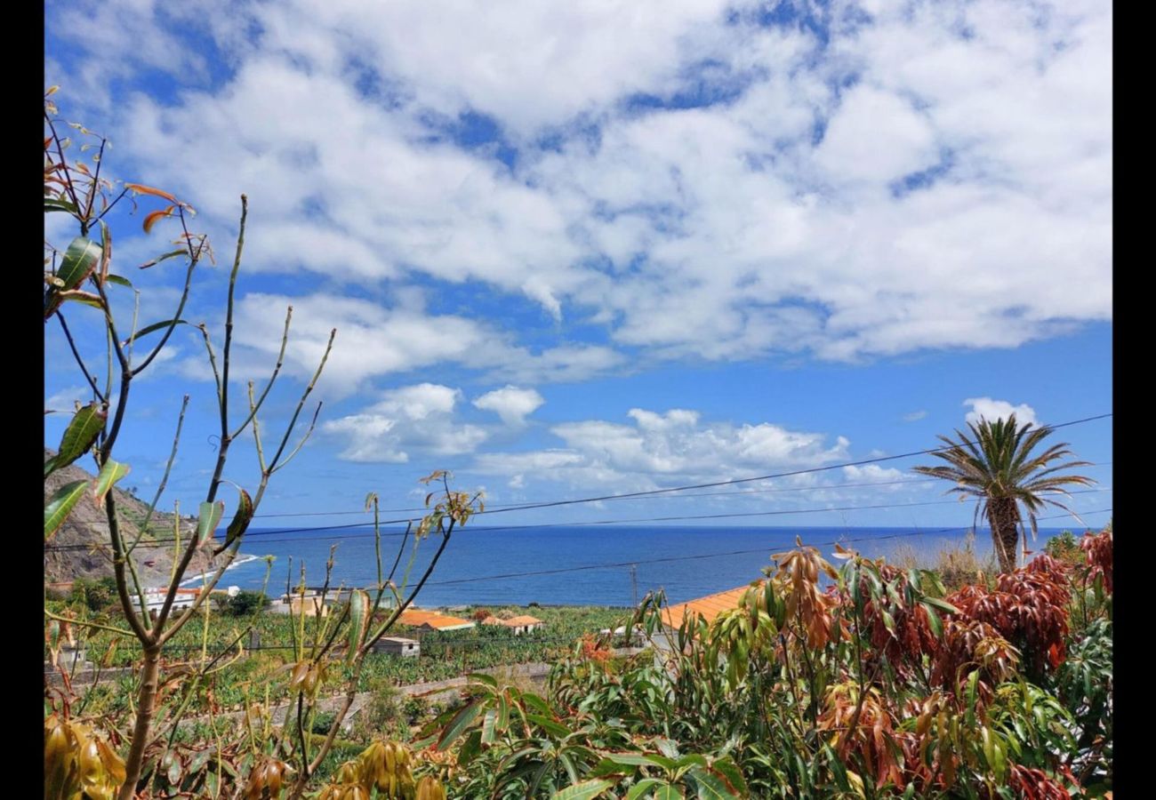 Cottage in Hermigua - Rural House  Views of the Sea and Montana BBQ