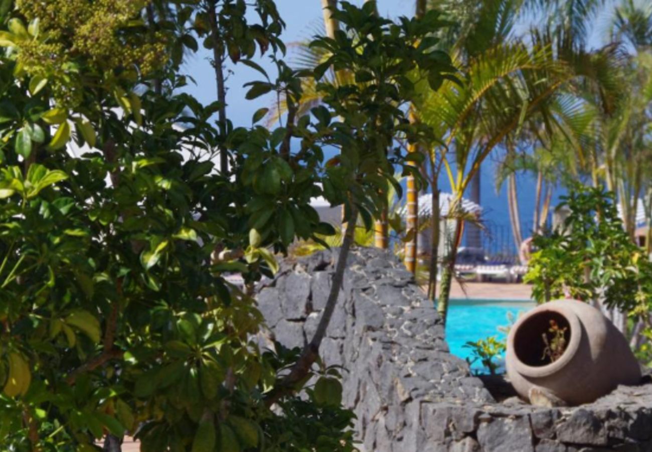 Apartment in Los Realejos - Beautiful cliff-top suite with fabulous sea views, terrace and pool