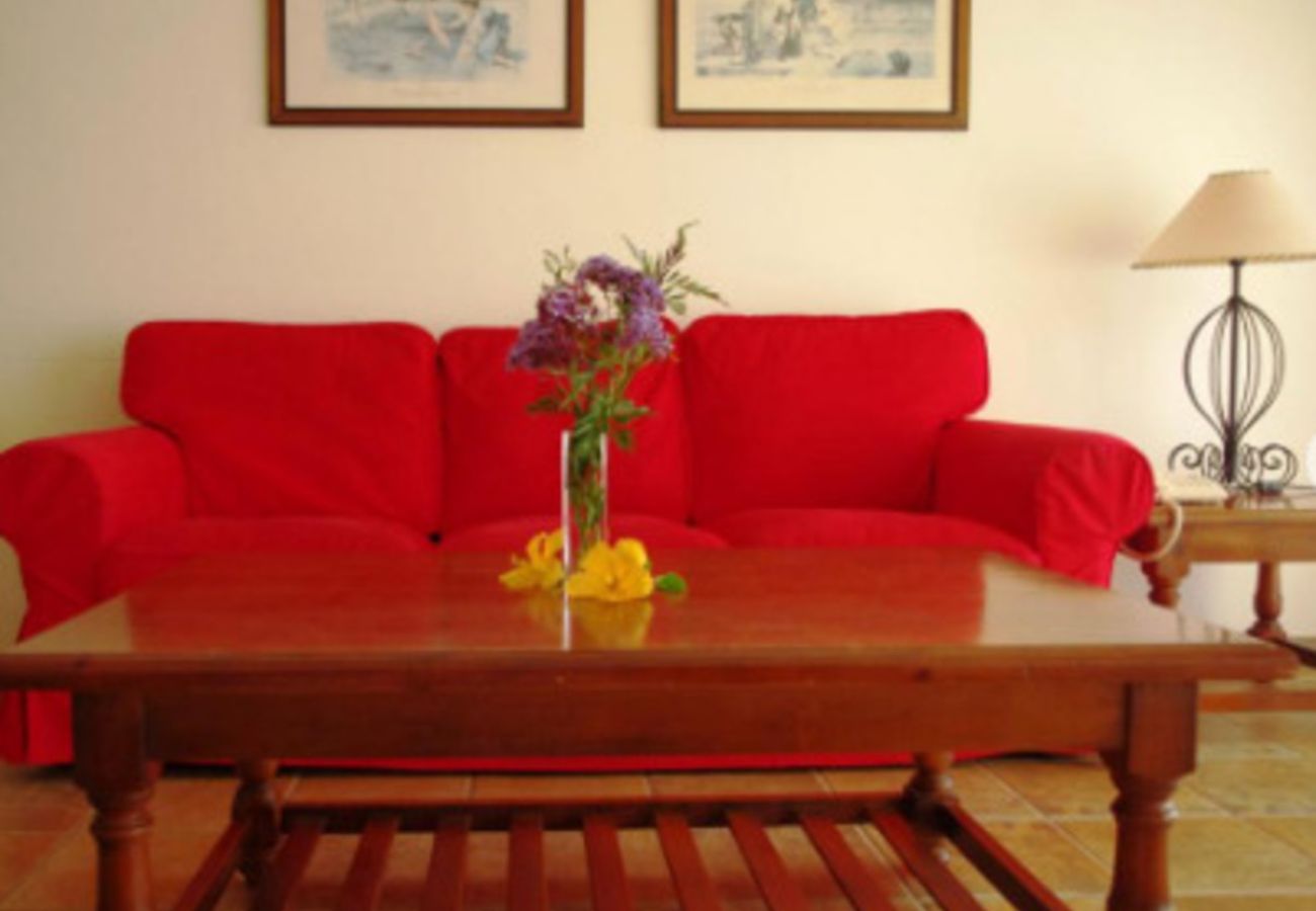 Apartment in Los Realejos - Superior Apartment with WIFI Pool and Terrace