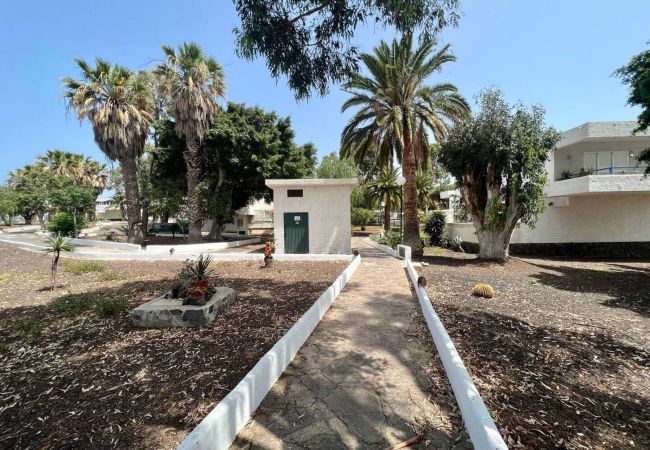 Aparthotel in Costa del Silencio -  Cozy Studio with BBQ and Terrace in Tenerife Aparthotel in Costa del Silencio -  Cozy Studio with BBQ and Terrace in Tenerife