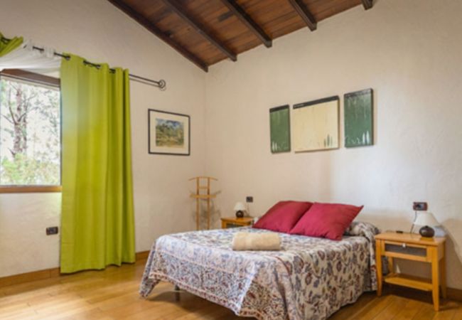 House in Santa Cruz de Tenerife - Incredible Stone House for 6 guests with absolute peace