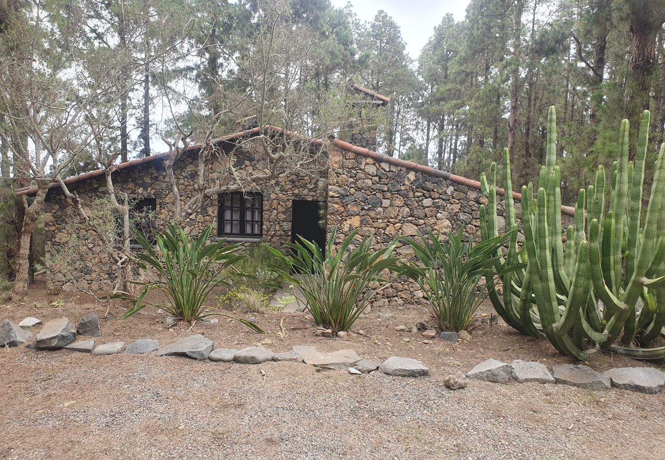 House in Santa Cruz de Tenerife -  Beautiful stone house full of peace fabulous views