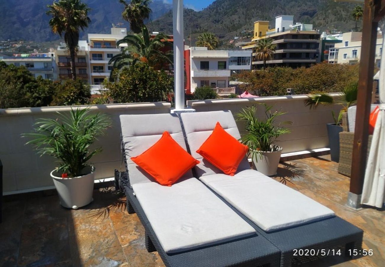 Apartment in Los Llanos de Aridane -  Central Apartment View Terrace BBQ Pool