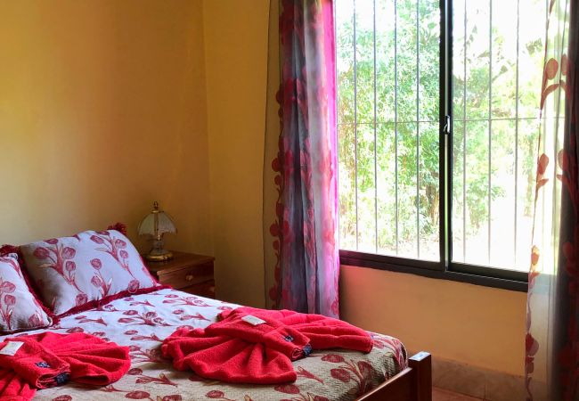 House in Puerto Iguazú - Deluxe Cabin with Pool near the Waterfalls House in Puerto Iguazú - Deluxe Cabin with Pool near the Waterfalls