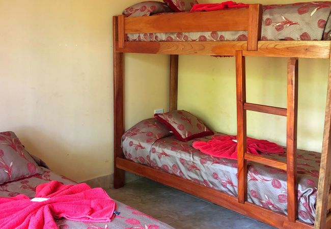 House in Puerto Iguazú - Deluxe Cabin with Pool near the Waterfalls House in Puerto Iguazú - Deluxe Cabin with Pool near the Waterfalls