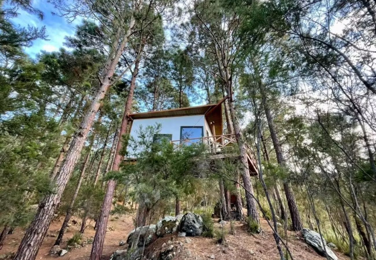 House in La Guancha -  Beautiful Sea Views from the hanging house