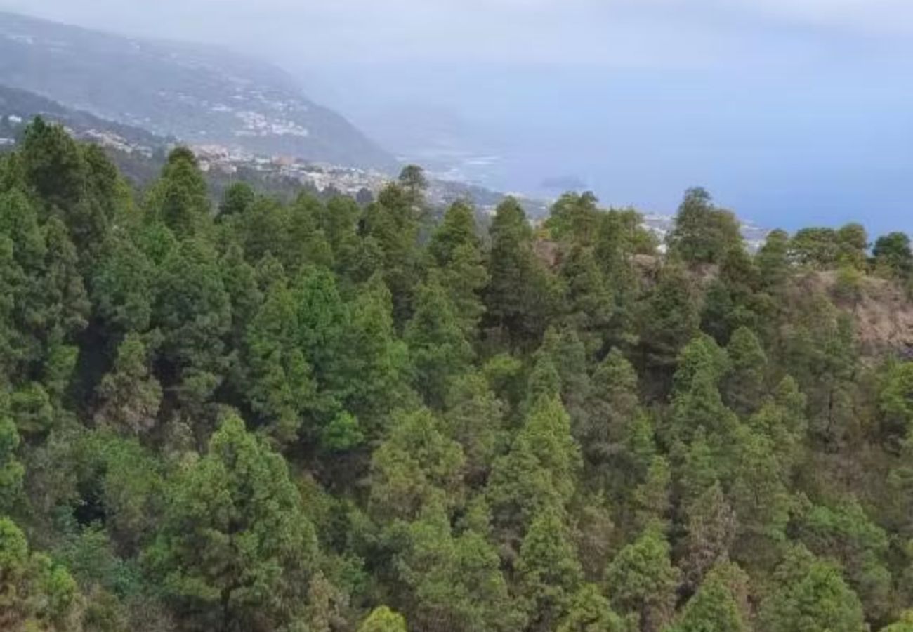 House in La Guancha -  Beautiful Sea Views from the hanging house