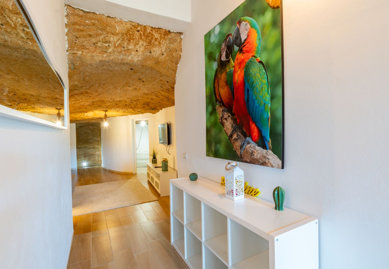 House in Arico - Family Luxury Cave in Arico