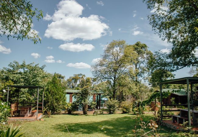  in Puerto Iguazú -  Cabins for 6, with BBQ and Pool