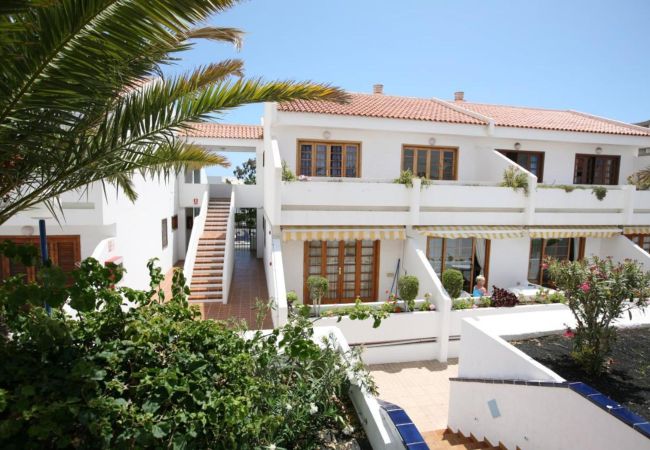 Aparthotel in Playa de Las Americas - Enjoy the Warmth of this Studio with Terrace and Pool Aparthotel in Playa de Las Americas - Enjoy the Warmth of this Studio with Terrace and Pool