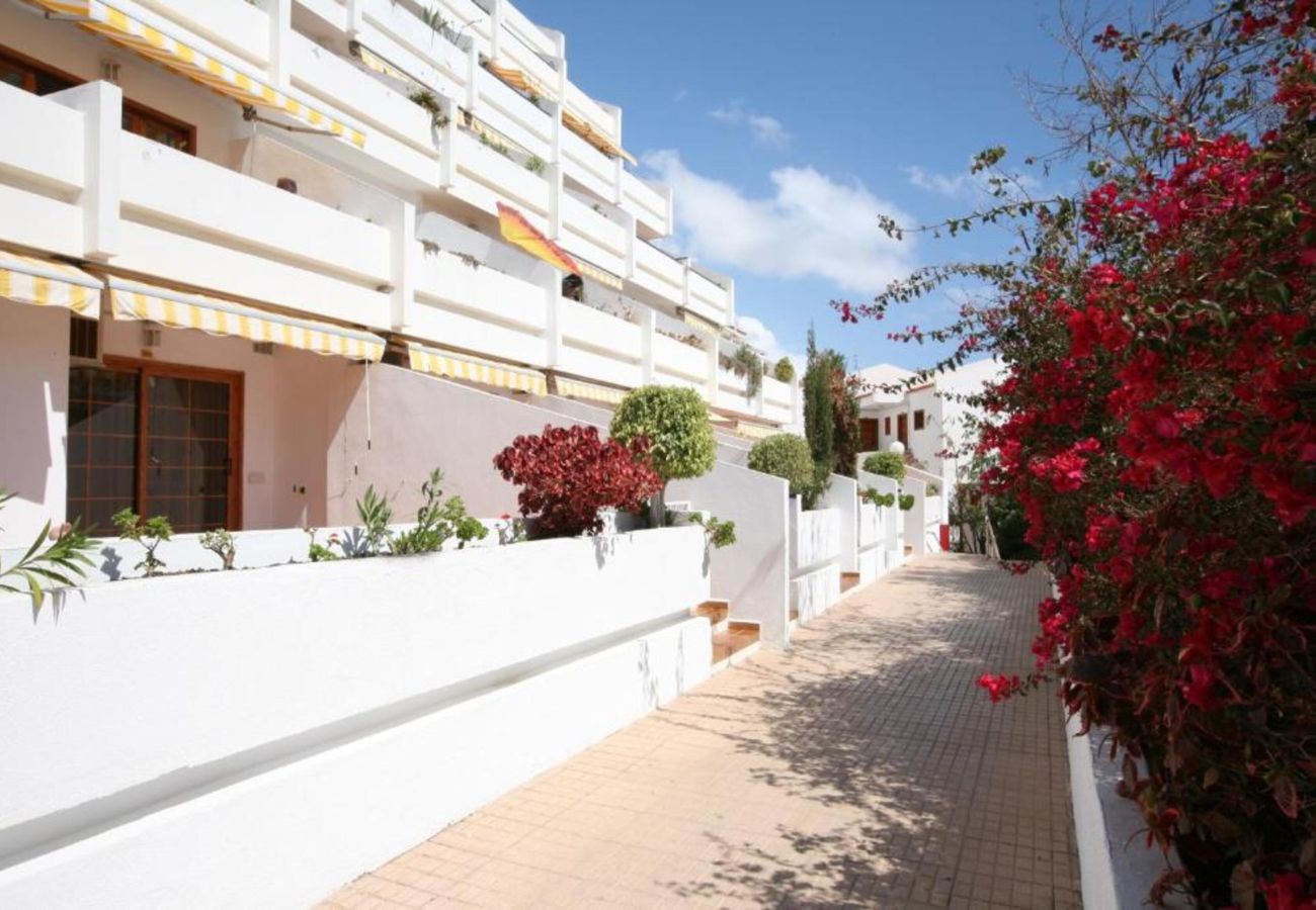Apartment in Playa de Las Americas - Cozy studio with private terrace and pool