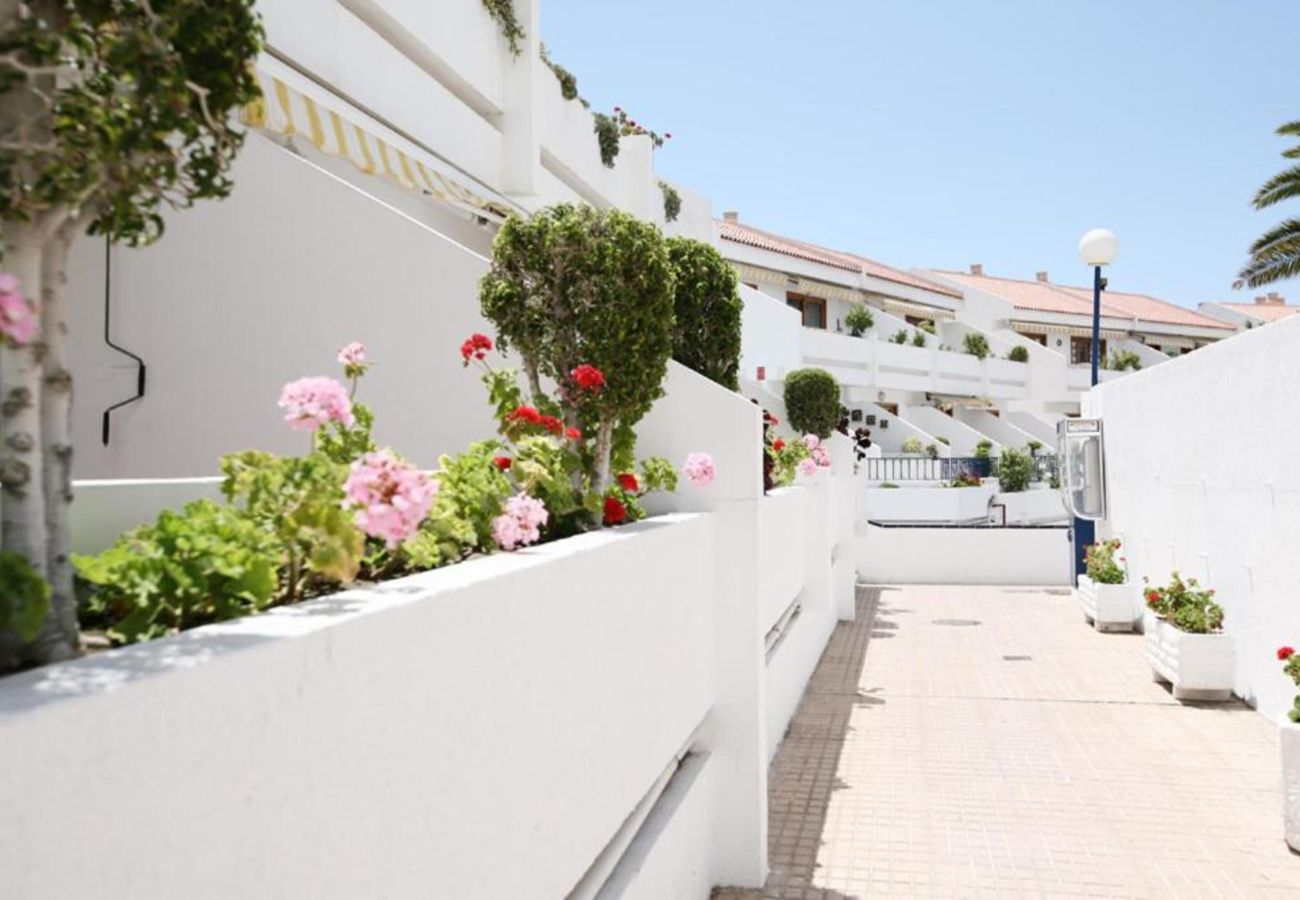 Apartment in Playa de Las Americas - Cozy studio with private terrace and pool