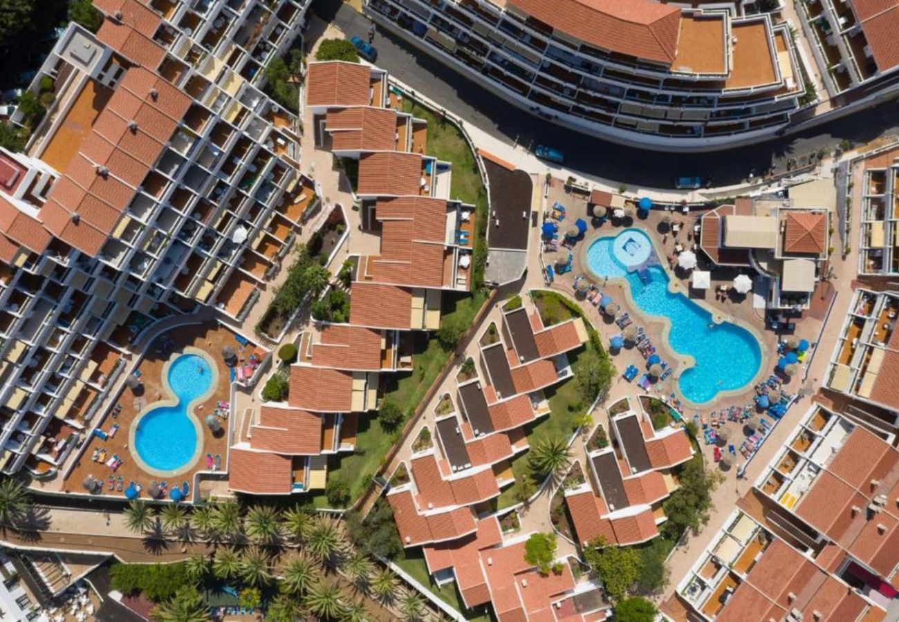 Apartment in Playa de Las Americas - Cozy studio with private terrace and pool