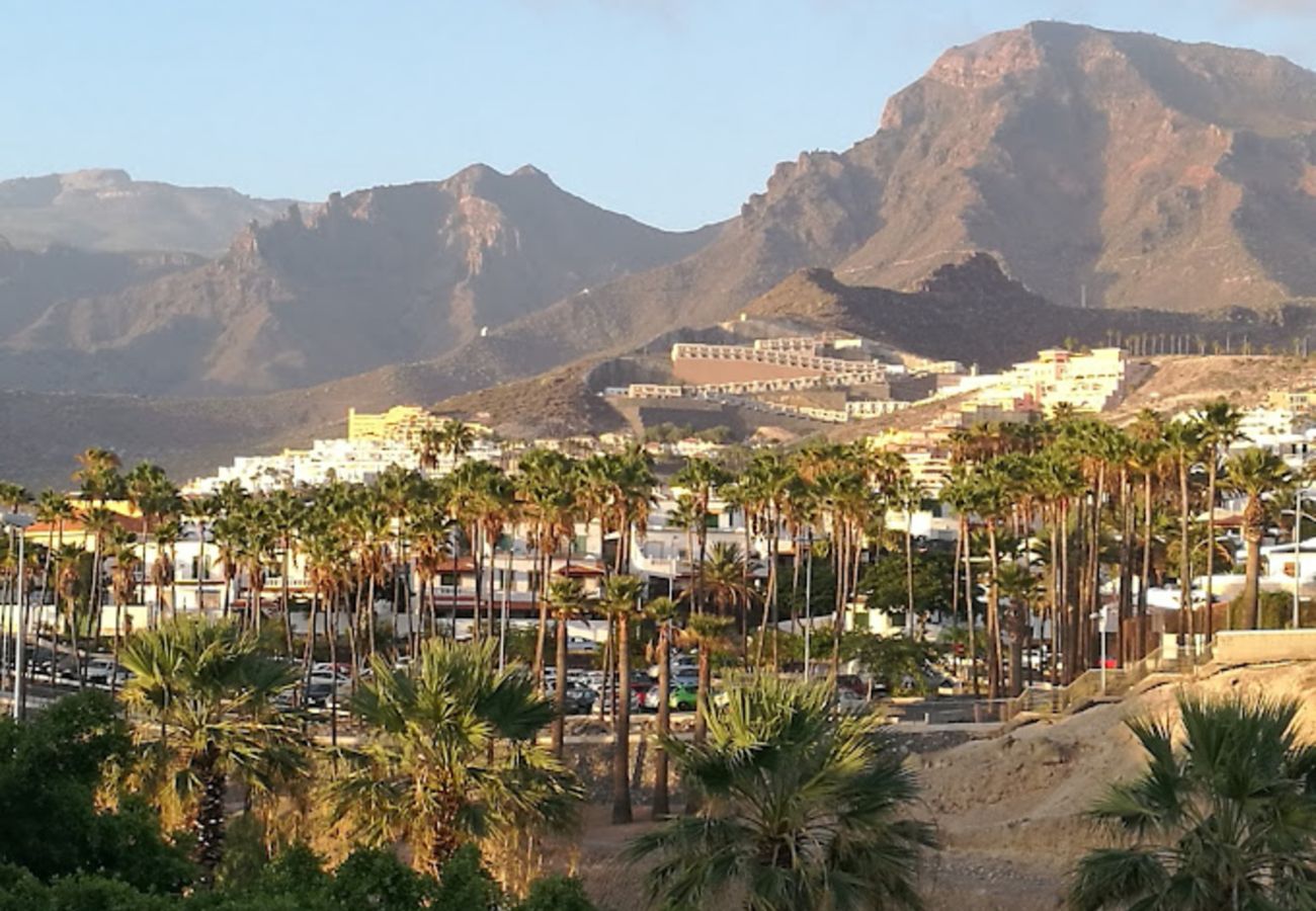Apartment in Playa de Las Americas -  Beautiful Suite with pool in Playa de las Americas