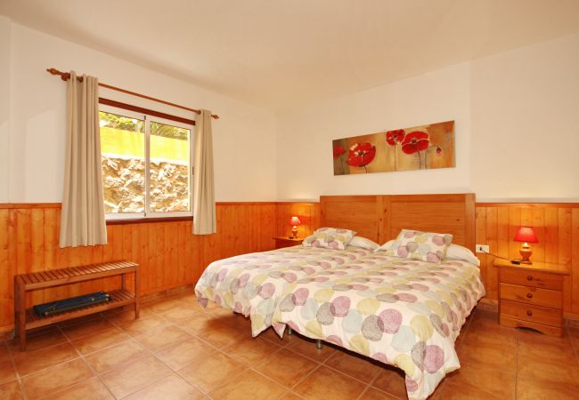 Apartment in Los Llanos de Aridane - Charming apartment for 4 guests with terrace and pool views Apartment in Los Llanos de Aridane - Charming apartment for 4 guests with terrace and pool views
