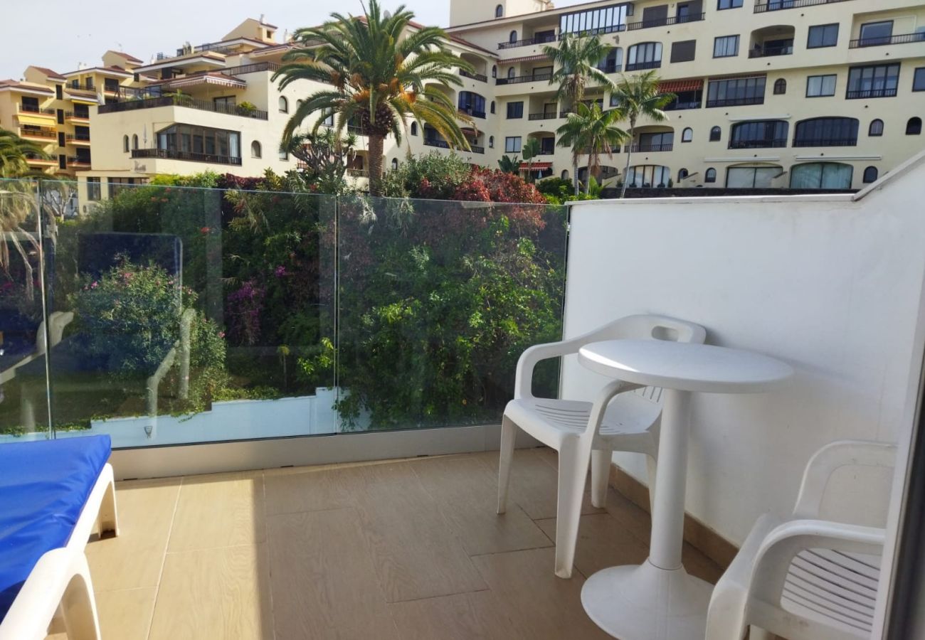 Studio in Puerto de la Cruz - Cozy Superior Studio with pool view