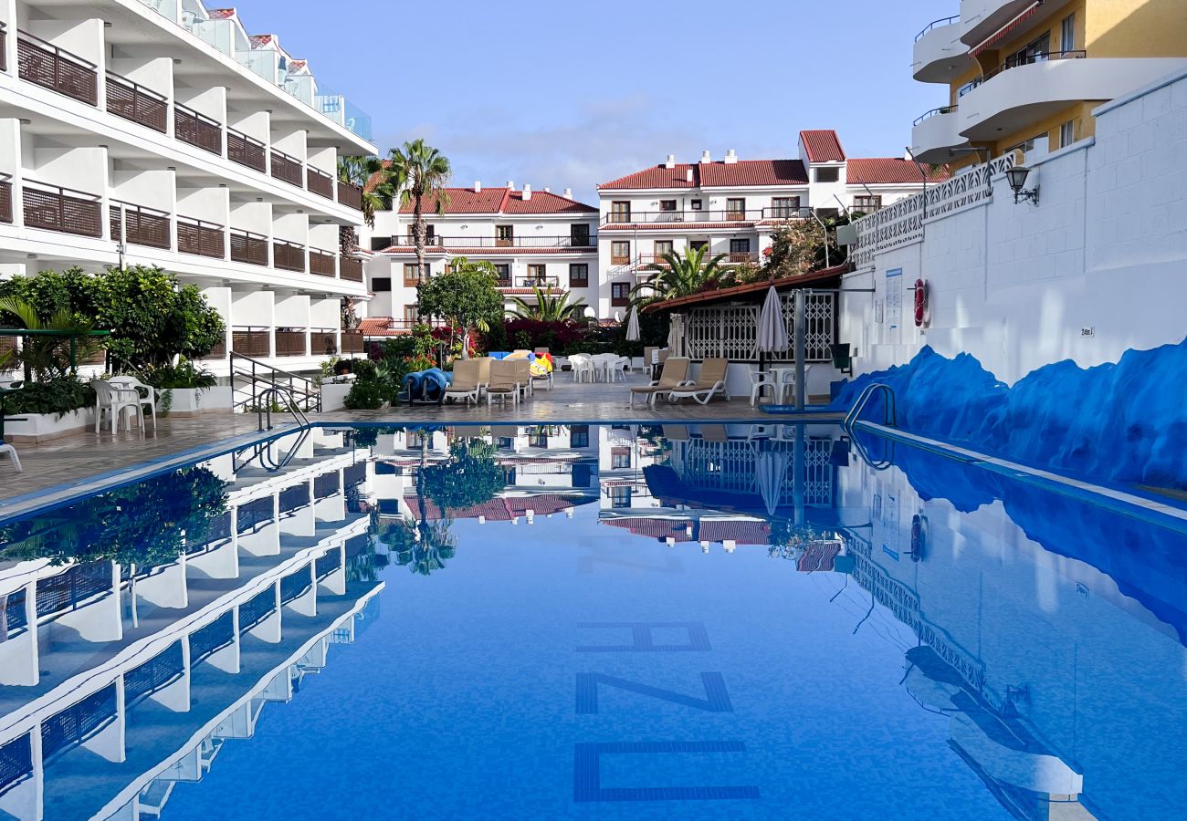Studio in Puerto de la Cruz - Cozy Superior Studio with pool view