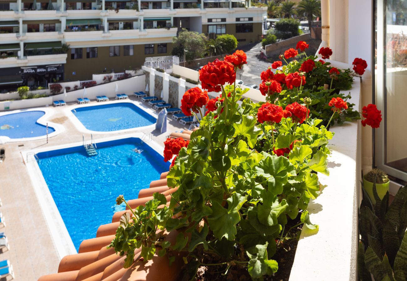Apartment in Puerto de la Cruz - Luxury Apartment with Sea Views in Puerto de la Cruz